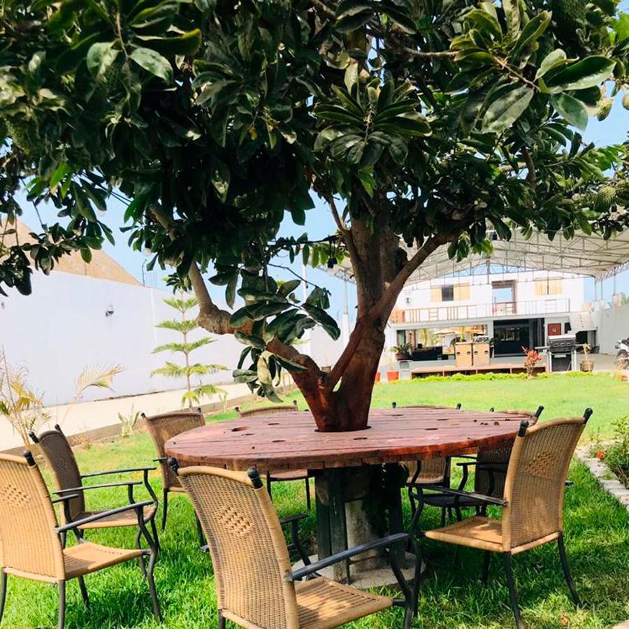 Hotel Vinas Del Sol Eterno شينشا ألتا المظهر الخارجي الصورة